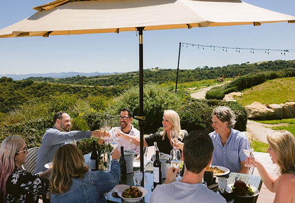 A group of friends toasting their glasses over lunch at our Seated Outdoor Wine Tasting with Lunch experience