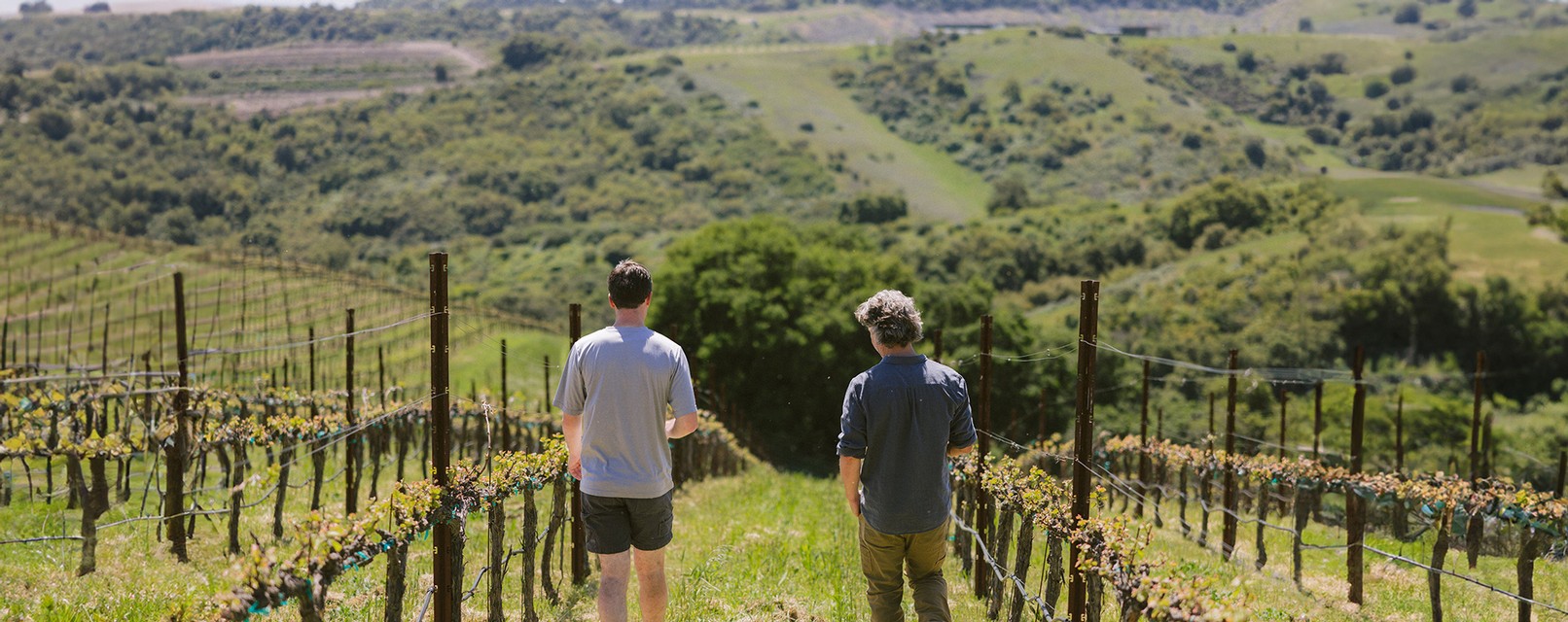 Winemaker Jason Joyce and Assistant Winemaker Brian Perry inspect each block of the Estate vineyard during the spring.